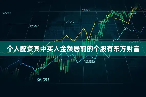 个人配资其中买入金额居前的个股有东方财富