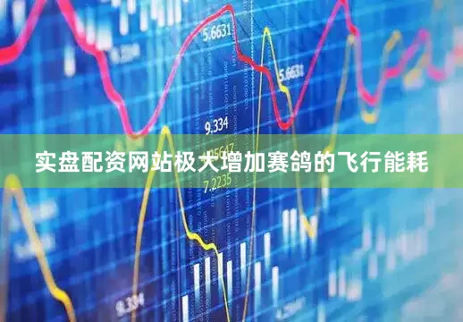 实盘配资网站极大增加赛鸽的飞行能耗